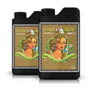 Gnojivo Advanced Nutrients Sensi Grow Coco, A i B dio, 2 x 1 l – za rast