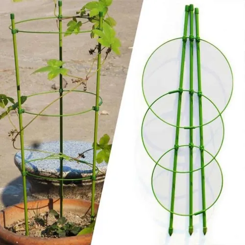 Potporni štapovi za biljke, 60 cm