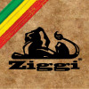 Ziggi