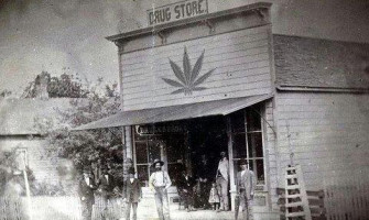 Povijest upotrebe konoplje Povijest upotrebe konoplje