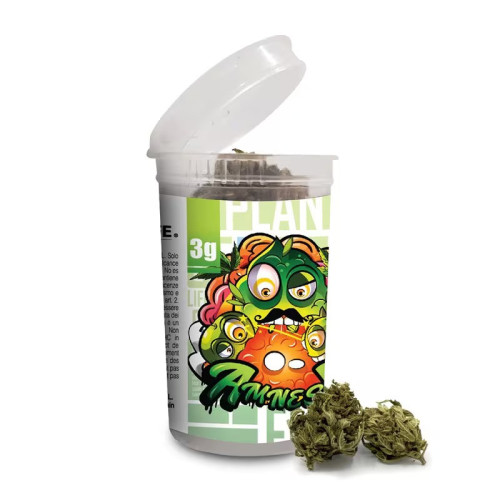 CBD cvjetovi Amnesia 3 g, 13 % CBD (Indoor) 