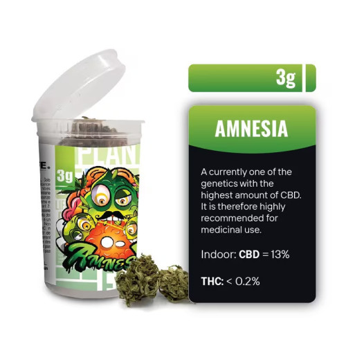 CBD cvjetovi Amnesia 3 g, 13 % CBD (Indoor) 