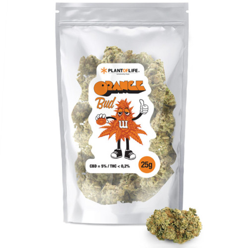 CBD cvjetovi Orange Bud 25g, 4-6 % CBD (Indoor)