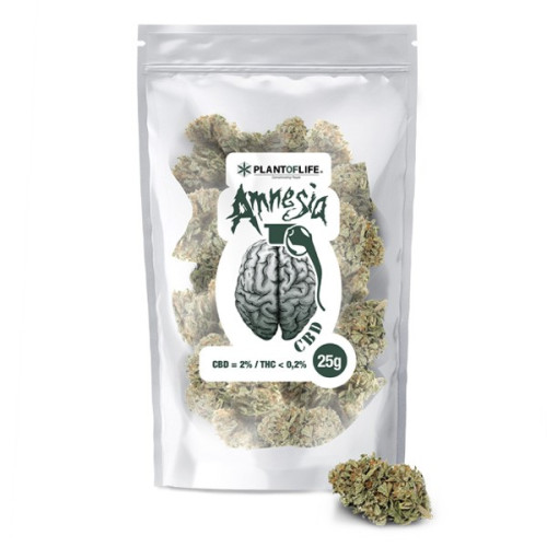 CBD cvjetovi Amnesia 25 g, 5 % CBD (Indoor)