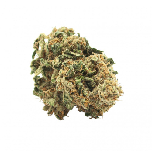 CBD cvjetovi Sugar Queen 3 g, 17% CBD (Indoor)