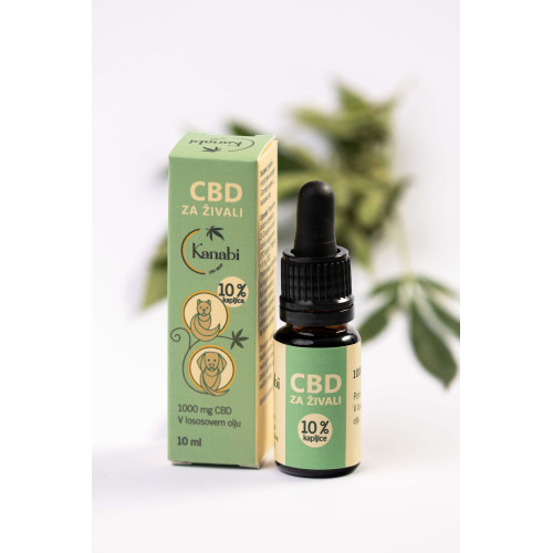 CBD kapi za životinje 10 % Kanabi, ulje lososa