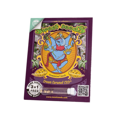 Cream Caramel CBD (3 sjemenke + 1 gratis), Sweet Seeds