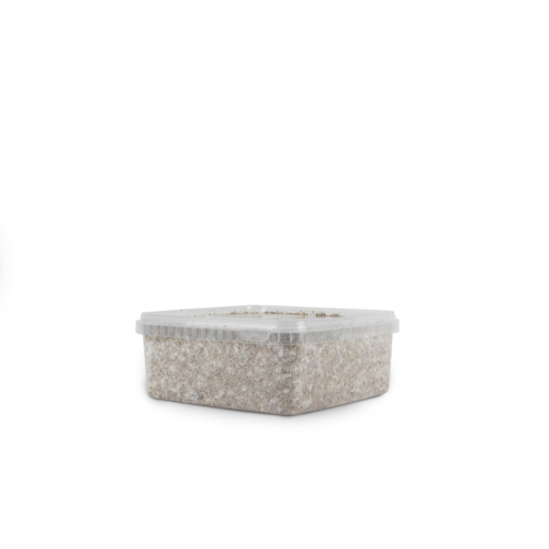 Sterilizirani supstrat u posudi, 2100 cc