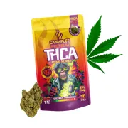 THCA cvjetovi Atomic Monkey, 1 g