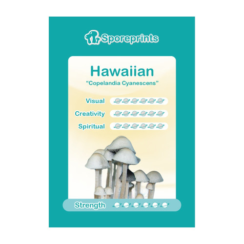 Čarobne gljive – Hawaiian spore