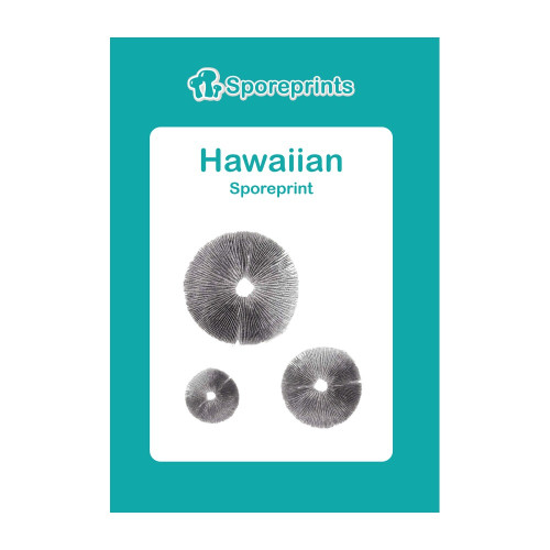 Čarobne gljive – Hawaiian spore