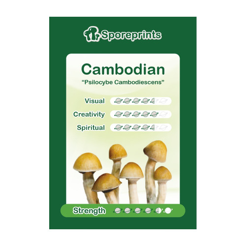Čarobne gljive – Cambodian spore