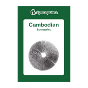 Čarobne gljive – Cambodian spore