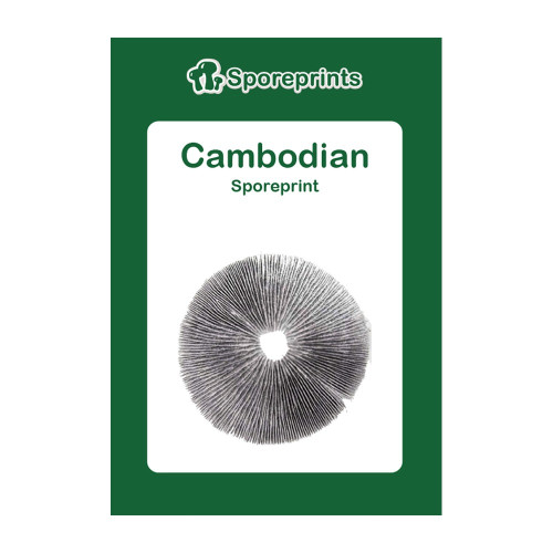 Čarobne gljive – Cambodian spore