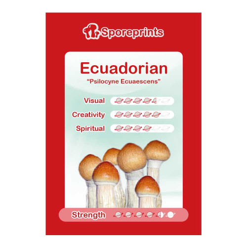 Čarobne gljive – Ecuadorian spore