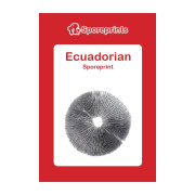 Čarobne gljive – Ecuadorian spore