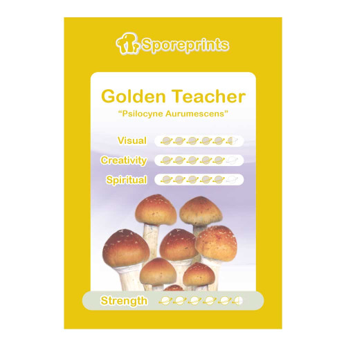 Čarobne gljive – Golden Teacher spore