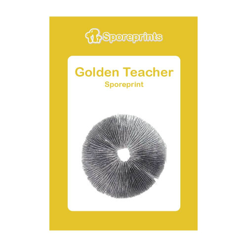 Čarobne gljive – Golden Teacher spore