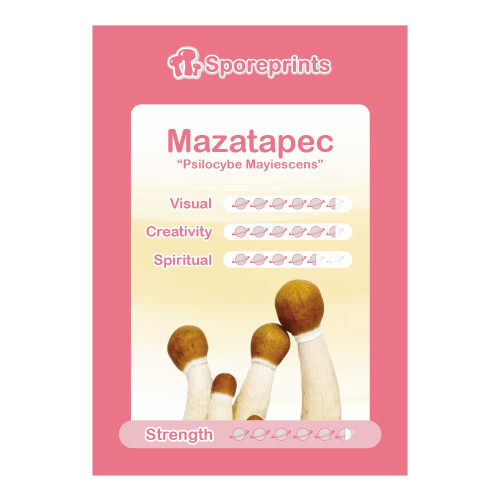 Čarobne gljive – Mazatapec spore