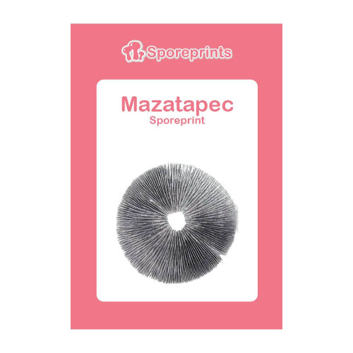 Čarobne gljive – Mazatapec spore