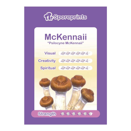 Čarobne gljive – McKennaii spore