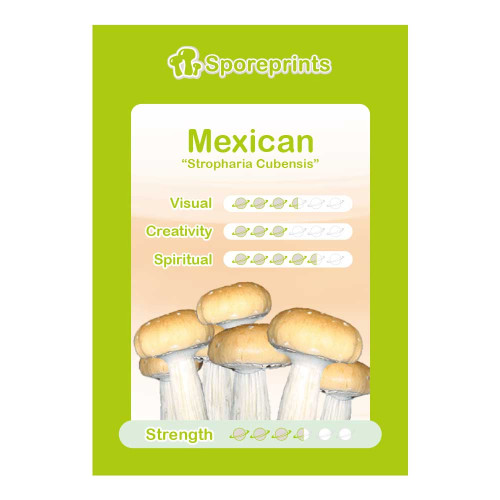 Čarobne gljive – Mexican spore