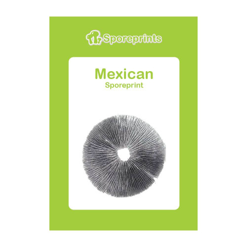 Čarobne gljive – Mexican spore