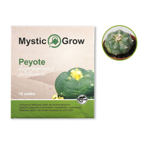 Pejotl (Lophophora Williamsii), 10 sjemenki