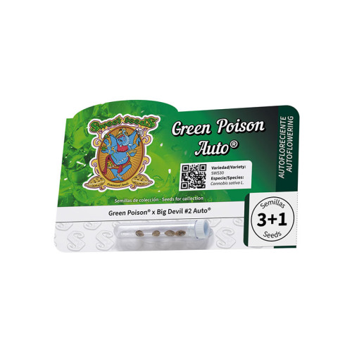 Green Poison Auto (3 sjemenke + 1 gratis), Sweet Seeds