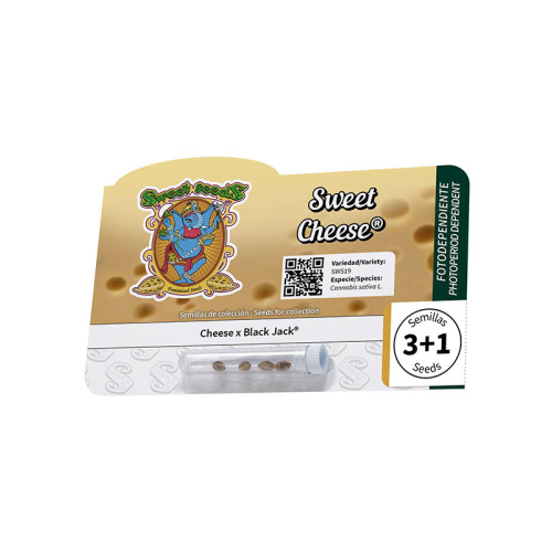 Sweet Cheese (3 sjemenke + 1 gratis), Sweet Seeds