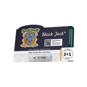 Black Jack (3 sjemenke + 1 gratis), Sweet Seeds