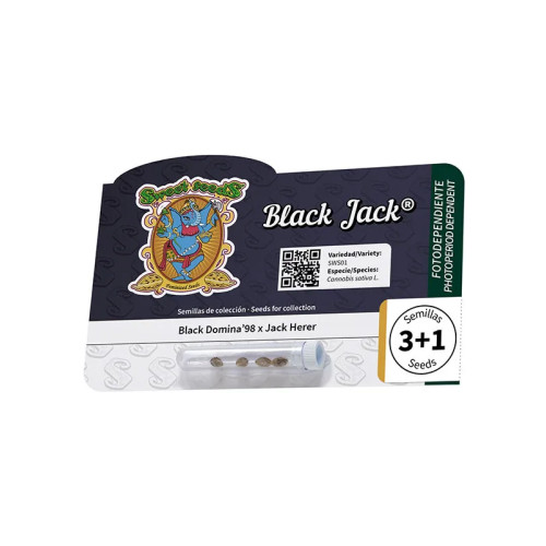 Black Jack (3 sjemenke + 1 gratis), Sweet Seeds