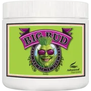 Pojačivač cvjetanja Advanced Nutrients Big Bud u prahu, 500 g)