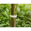 Kvačice za biljke Herbgarden, 20 komada